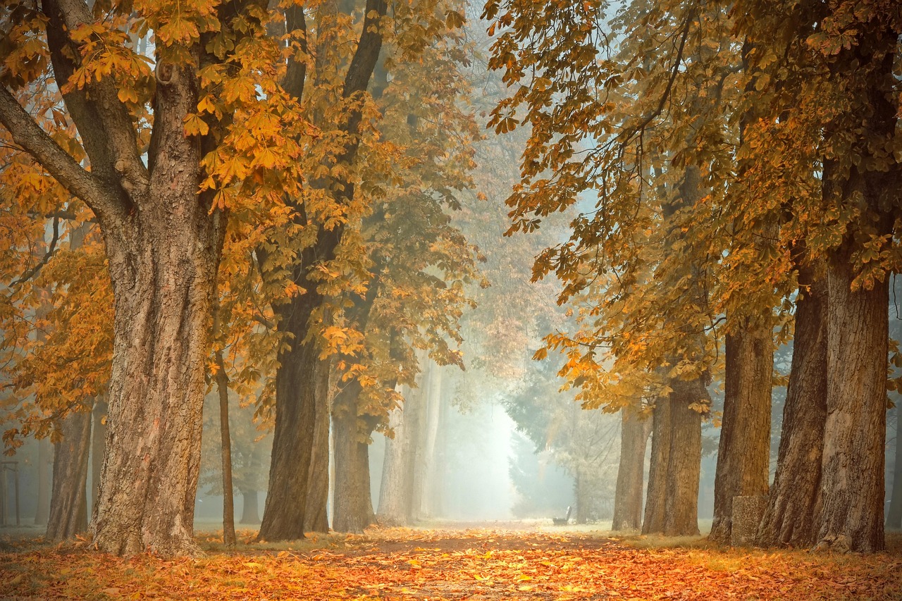 Decoratieve lantaarns met herfstthema naast de deur.